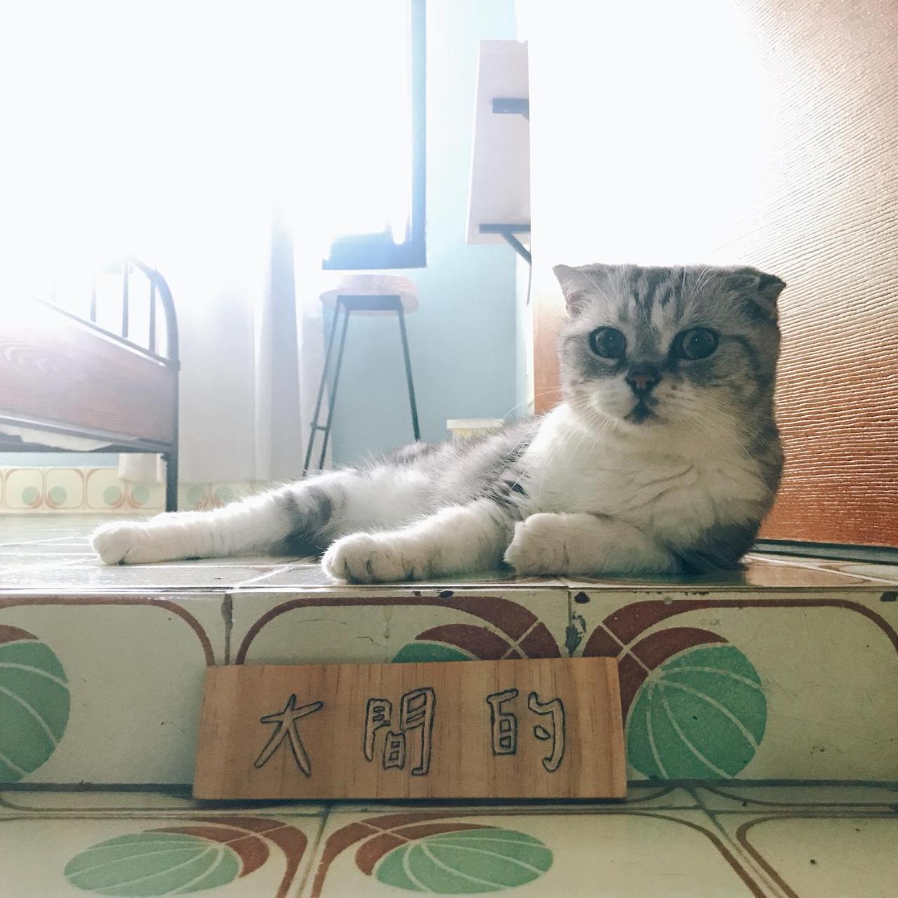 A Fat At Home Đài Nam Ngoại thất bức ảnh