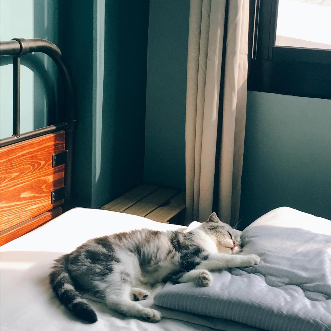 A Fat At Home Đài Nam Ngoại thất bức ảnh